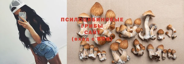 дмт Зеленодольск