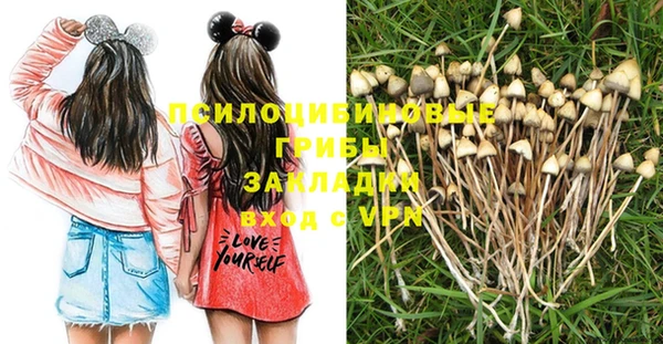 прущая мука Алексин