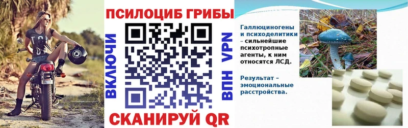 где купить наркоту  Арсеньев  Галлюциногенные грибы мухоморы 