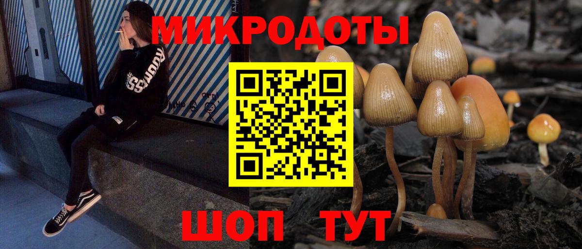 Псилоцибиновые грибы Psilocybine cubensis  Вход с VPN  Арсеньев  Галлюциногенные грибы ЛСД 