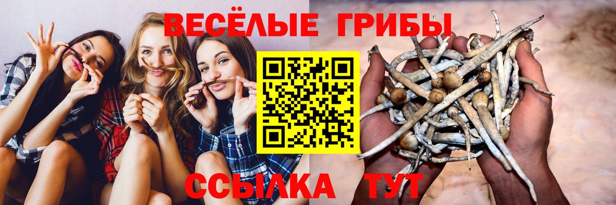 Псилоцибиновые грибы мухоморы Арсеньев